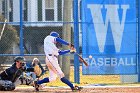 Baseball vs Brandeis  Wheaton College Baseball vs Brandeis University. - Photo By: KEITH NORDSTROM : Wheaton, Baseball